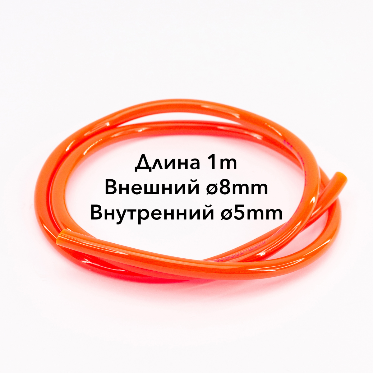 IMG_1981_ копия